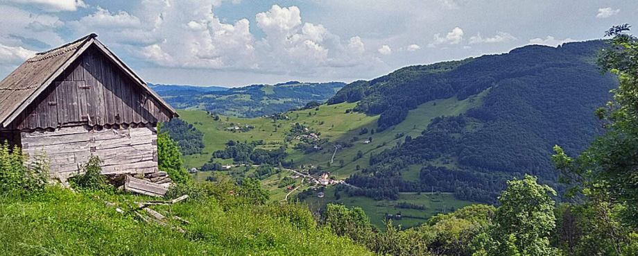 Case, terenuri și domenii de vânzare în Țara Moților, din Munții Apuseni
