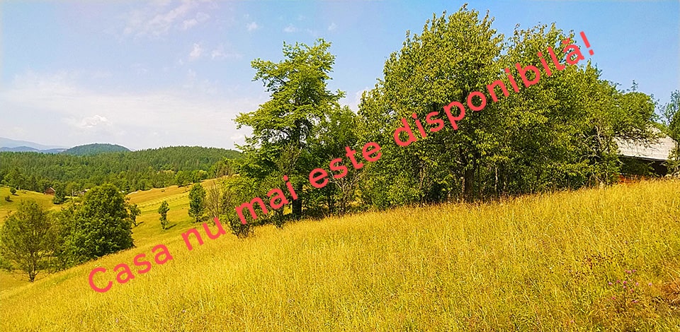 Casa 18 de vânzare | Domeniul din Apuseni