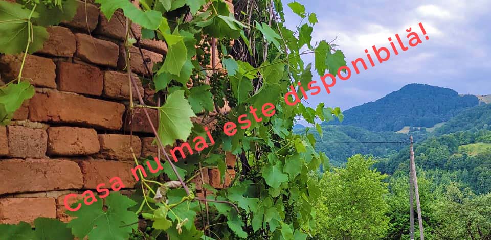 Casa 30 de vânzare | Domeniul din Apuseni