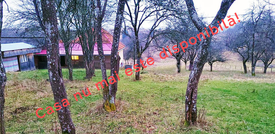 Casa 34 de vânzare | Domeniul din Apuseni