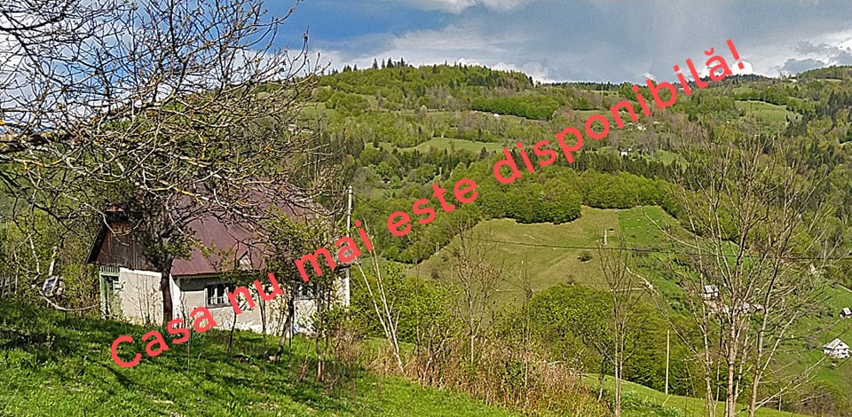 Casa 6 de vânzare | Domeniul din Apuseni