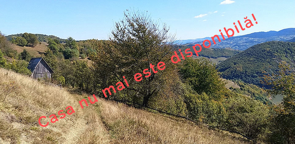 Terenul 2 de vânzare | Domeniul din Apuseni