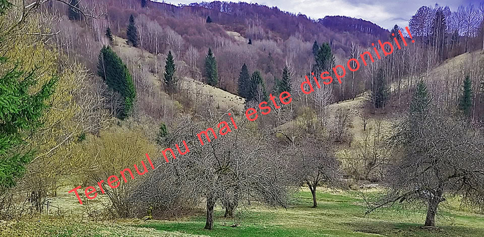 Terenul 6 de vânzare | Domeniul din Apuseni