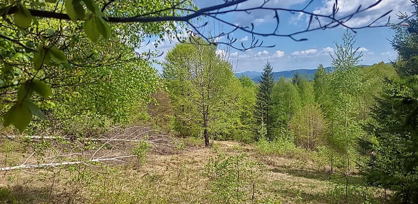 Terenul 8 de vânzare | Domeniul din Apuseni