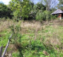 Casa 31 de vânzare | Domeniul din Apuseni