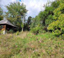Casa 31 de vânzare | Domeniul din Apuseni