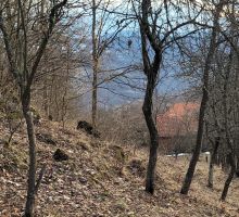 Casa 33 de vânzare | Domeniul din Apuseni