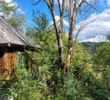 Casa 31 de vânzare | Domeniul din Apuseni