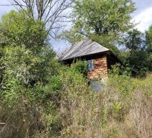Casa 31 de vânzare | Domeniul din Apuseni