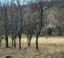 Casa 33 de vânzare | Domeniul din Apuseni