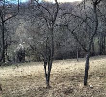 Casa 33 de vânzare | Domeniul din Apuseni
