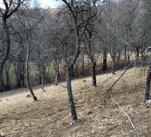 Casa 33 de vânzare | Domeniul din Apuseni
