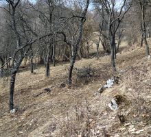 Casa 33 de vânzare | Domeniul din Apuseni