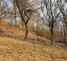 Casa 33 de vânzare | Domeniul din Apuseni