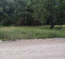 Casa A1 de vânzare | Domeniul din Apuseni
