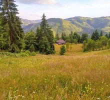 Casa 15 de vânzare | Domeniul din Apuseni