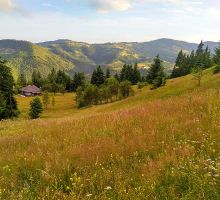 Casa 15 de vânzare | Domeniul din Apuseni