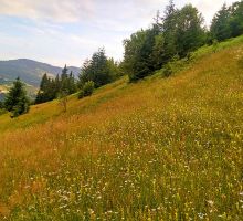 Casa 15 de vânzare | Domeniul din Apuseni