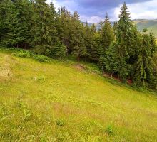 Casa 15 de vânzare | Domeniul din Apuseni