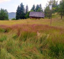 Casa 15 de vânzare | Domeniul din Apuseni