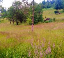 Casa 15 de vânzare | Domeniul din Apuseni