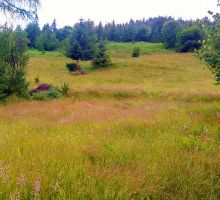 Casa 15 de vânzare | Domeniul din Apuseni