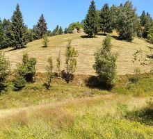 Casa 17 de vânzare | Domeniul din Apuseni