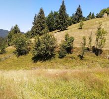 Casa 17 de vânzare | Domeniul din Apuseni