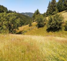 Casa 17 de vânzare | Domeniul din Apuseni