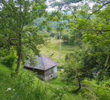 Casa 19 de vânzare | Domeniul din Apuseni