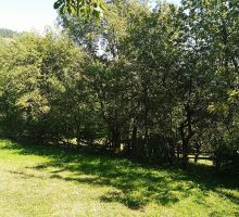Casa 2 de vânzare | Domeniul din Apuseni