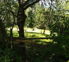 Casa 2 de vânzare | Domeniul din Apuseni