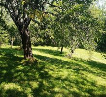 Casa 2 de vânzare | Domeniul din Apuseni