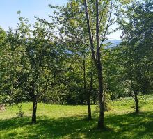 Casa 2 de vânzare | Domeniul din Apuseni