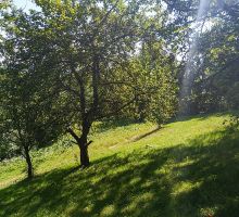 Casa 2 de vânzare | Domeniul din Apuseni