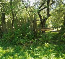 Casa 2 de vânzare | Domeniul din Apuseni