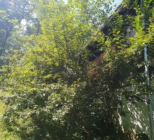Casa 2 de vânzare | Domeniul din Apuseni
