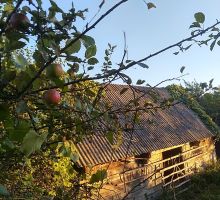 Casa 21 de vânzare | Domeniul din Apuseni
