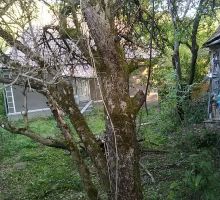 Casa 21 de vânzare | Domeniul din Apuseni