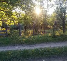 Casa 21 de vânzare | Domeniul din Apuseni