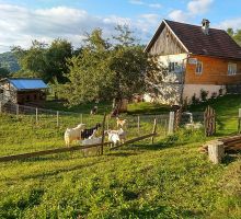 Casa 22 de vânzare | Domeniul din Apuseni