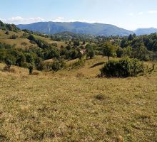 Casa 25 de vânzare | Domeniul din Apuseni