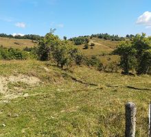 Casa 25 de vânzare | Domeniul din Apuseni