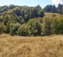 Casa 25 de vânzare | Domeniul din Apuseni