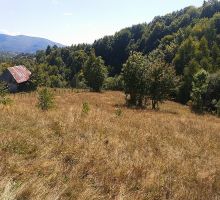 Casa 25 de vânzare | Domeniul din Apuseni