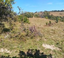 Casa 25 de vânzare | Domeniul din Apuseni