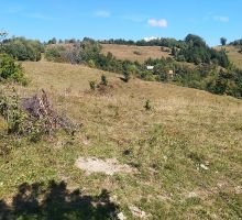 Casa 25 de vânzare | Domeniul din Apuseni