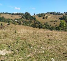 Casa 25 de vânzare | Domeniul din Apuseni