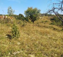 Casa 25 de vânzare | Domeniul din Apuseni