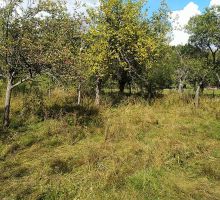 Casa 26 de vânzare | Domeniul din Apuseni